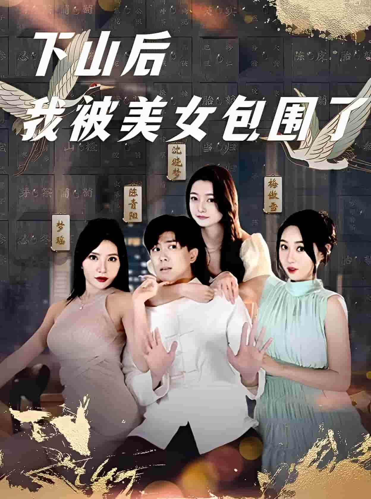 下山后我被美女包围了封面图