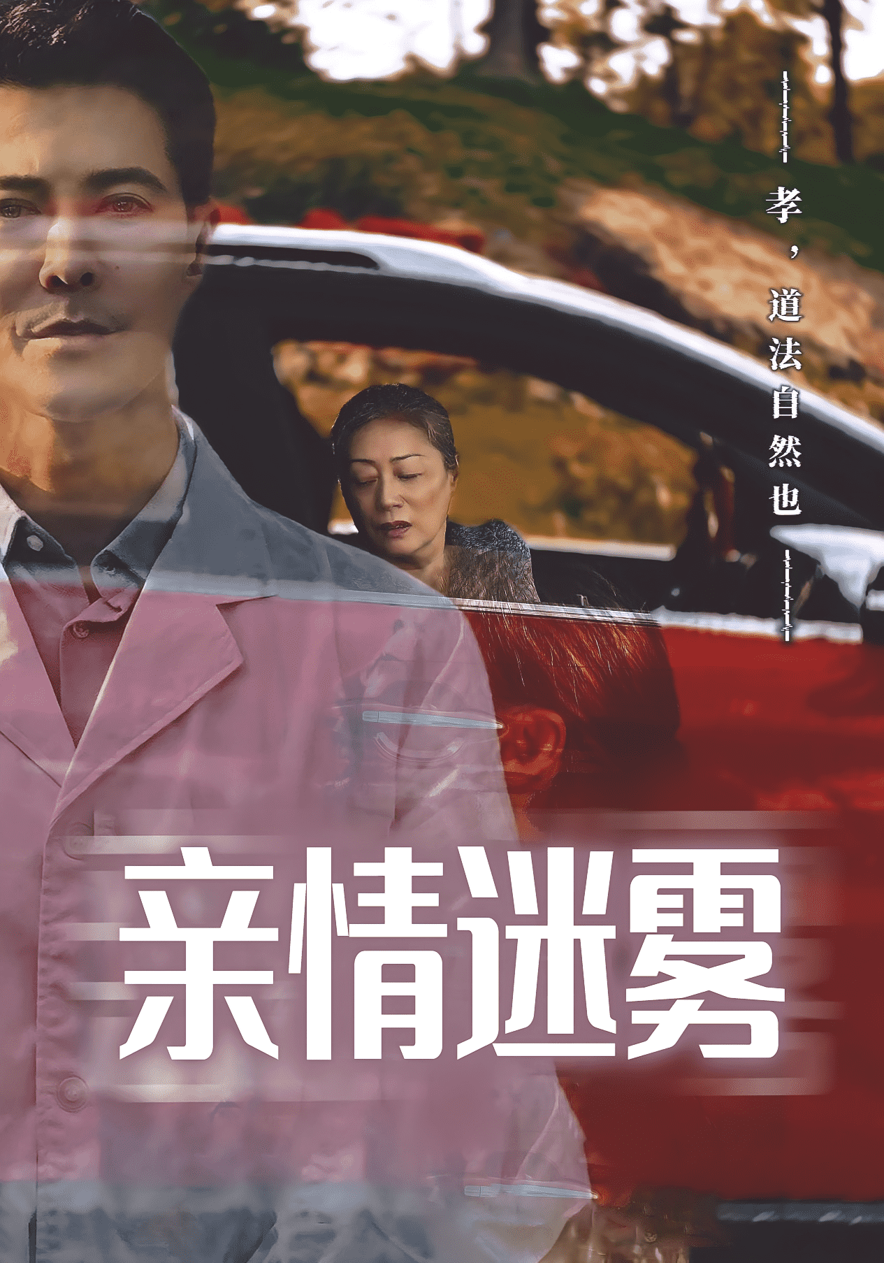 亲情迷雾封面图