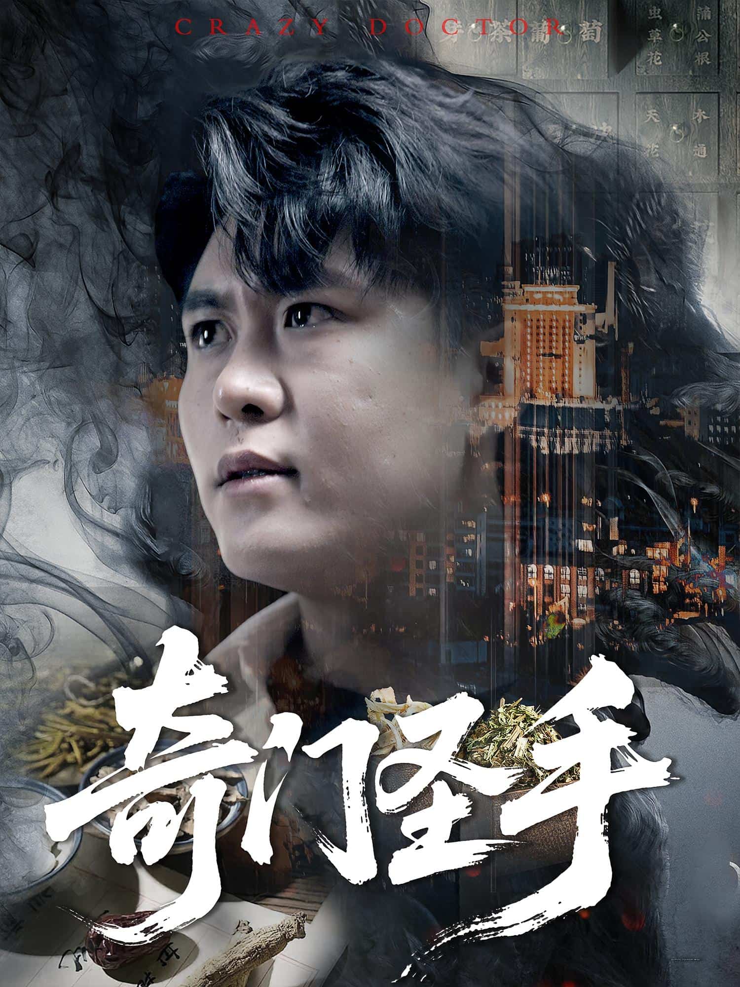 奇门圣手封面图