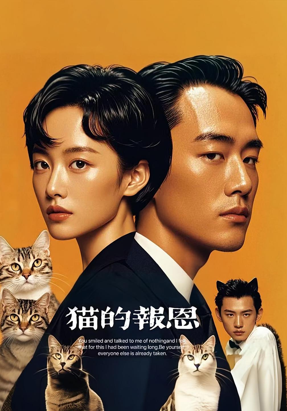 猫的报恩（短剧版）封面图