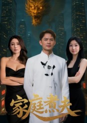 家庭煮夫封面图