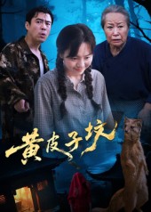 黄皮子坟封面图