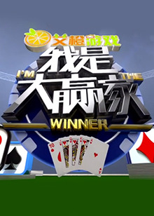 我是大赢家2015封面图