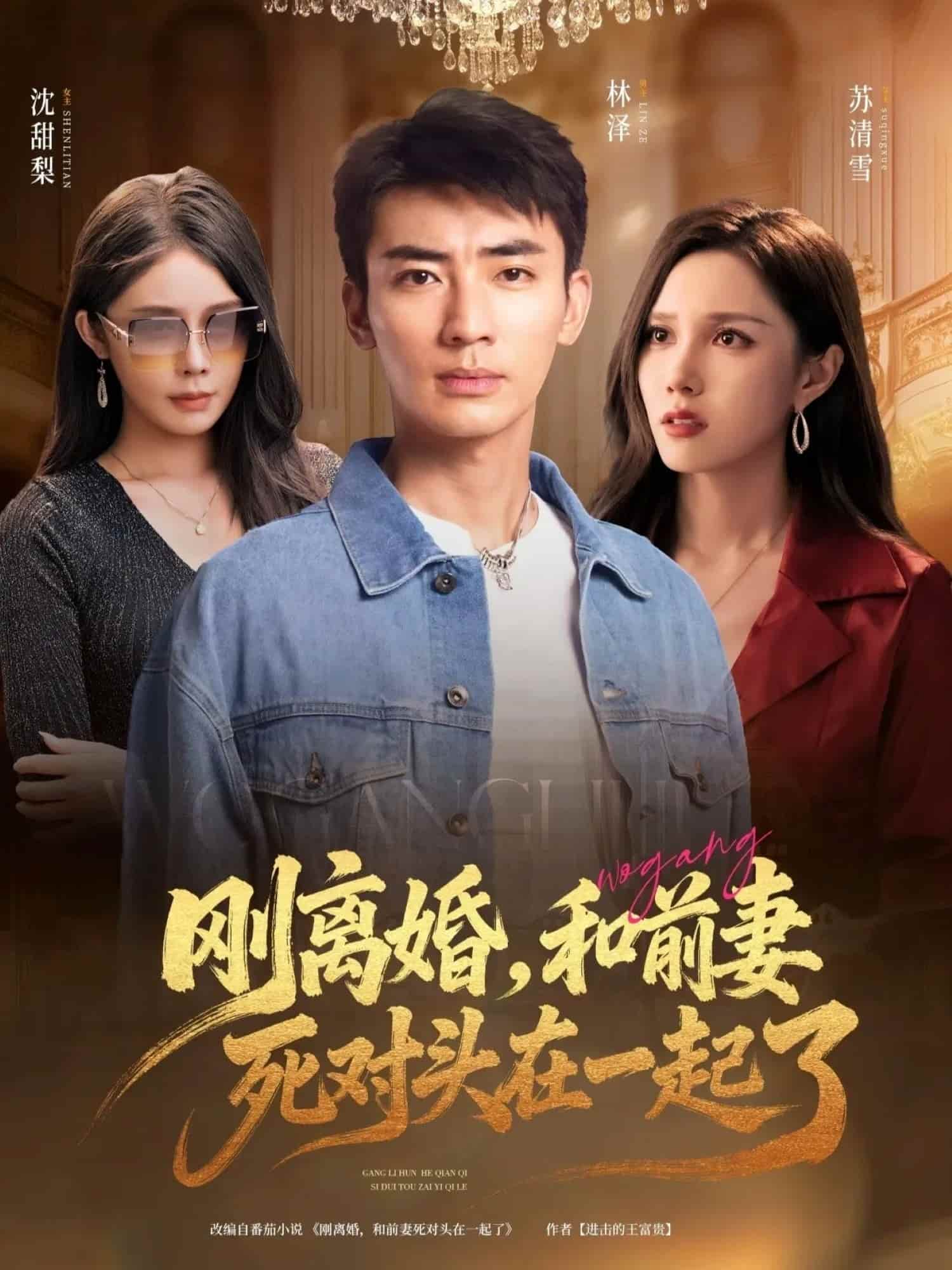 刚离婚和前妻死对头在一起封面图