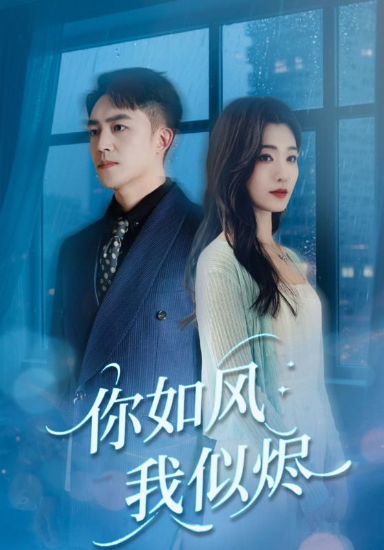 你如风我似烬封面图