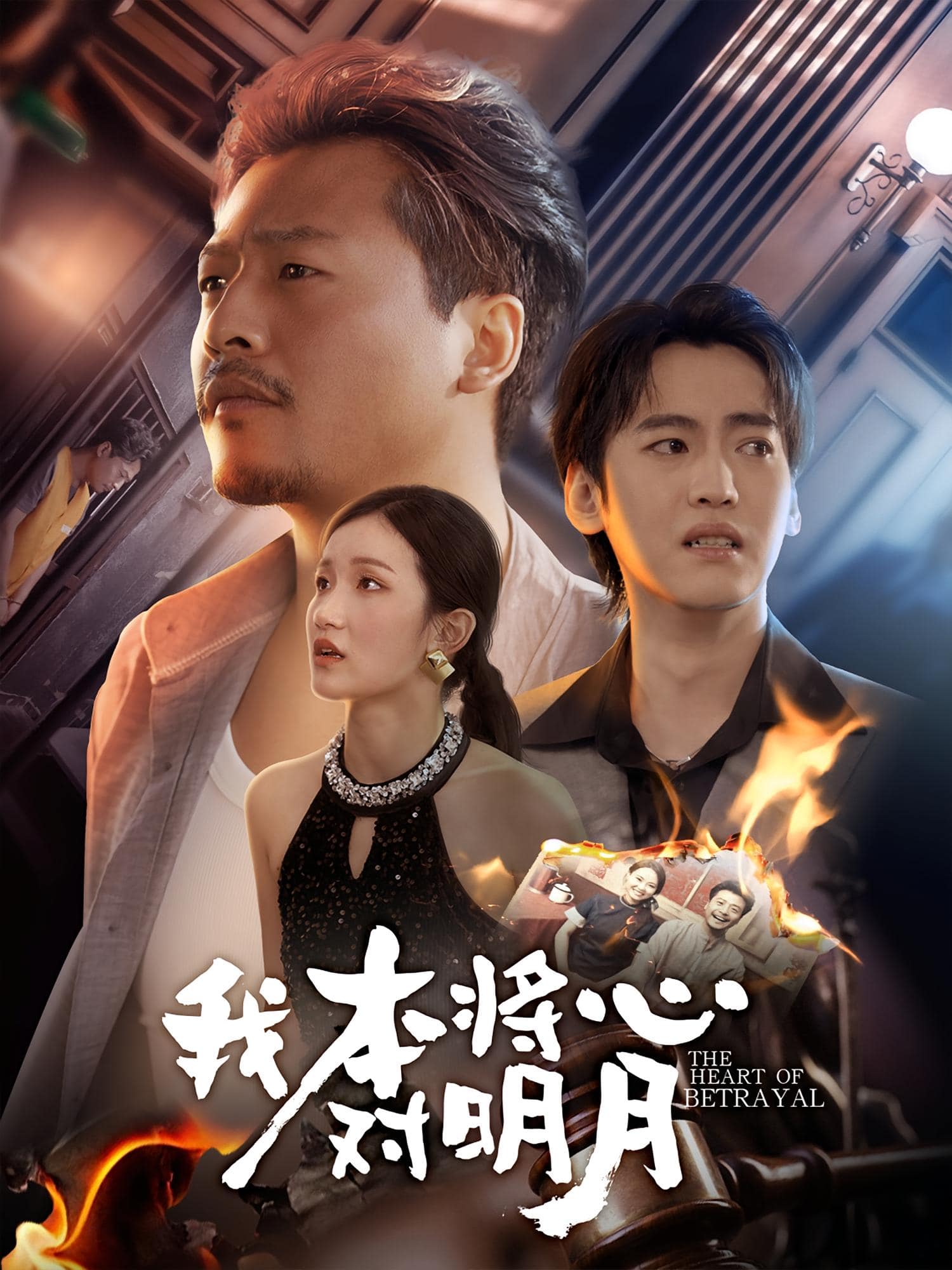 我本将心对明月封面图