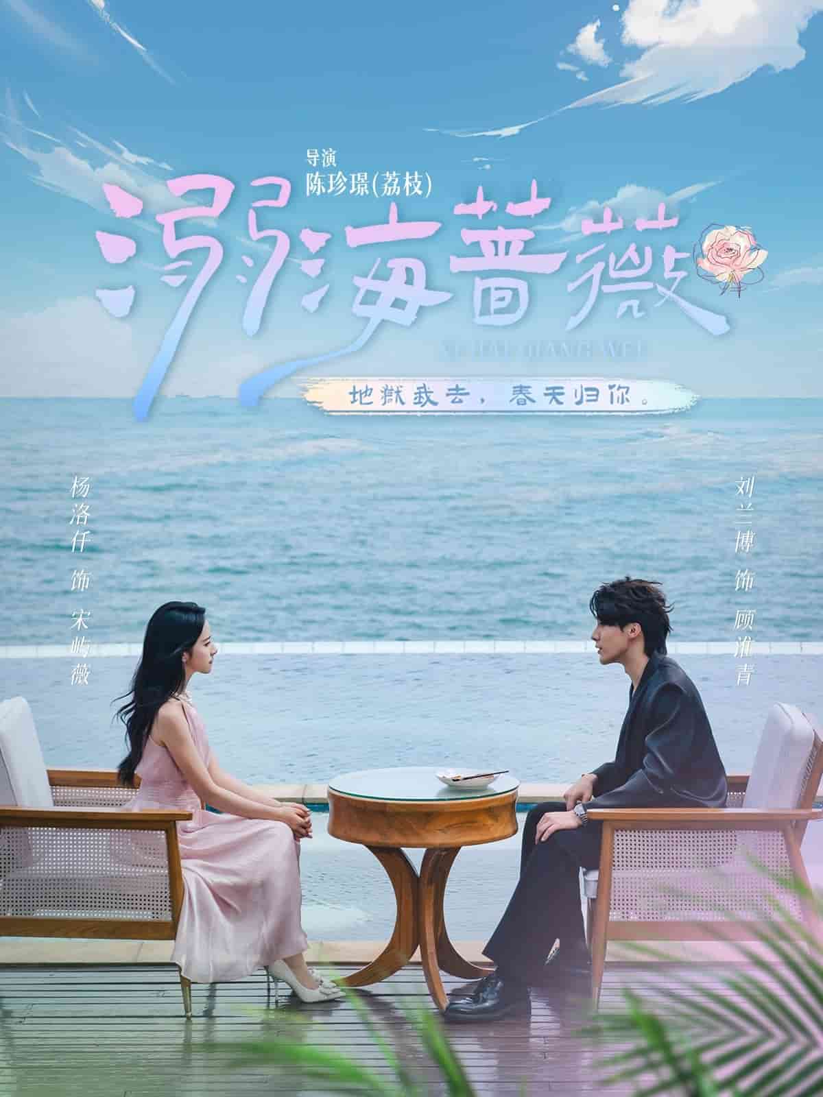 溺海蔷薇封面图