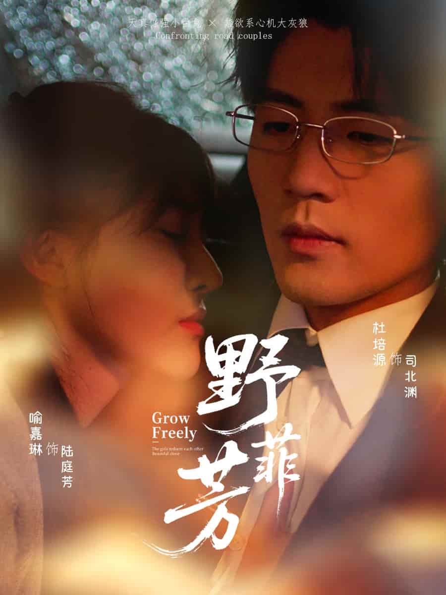 野芳菲封面图