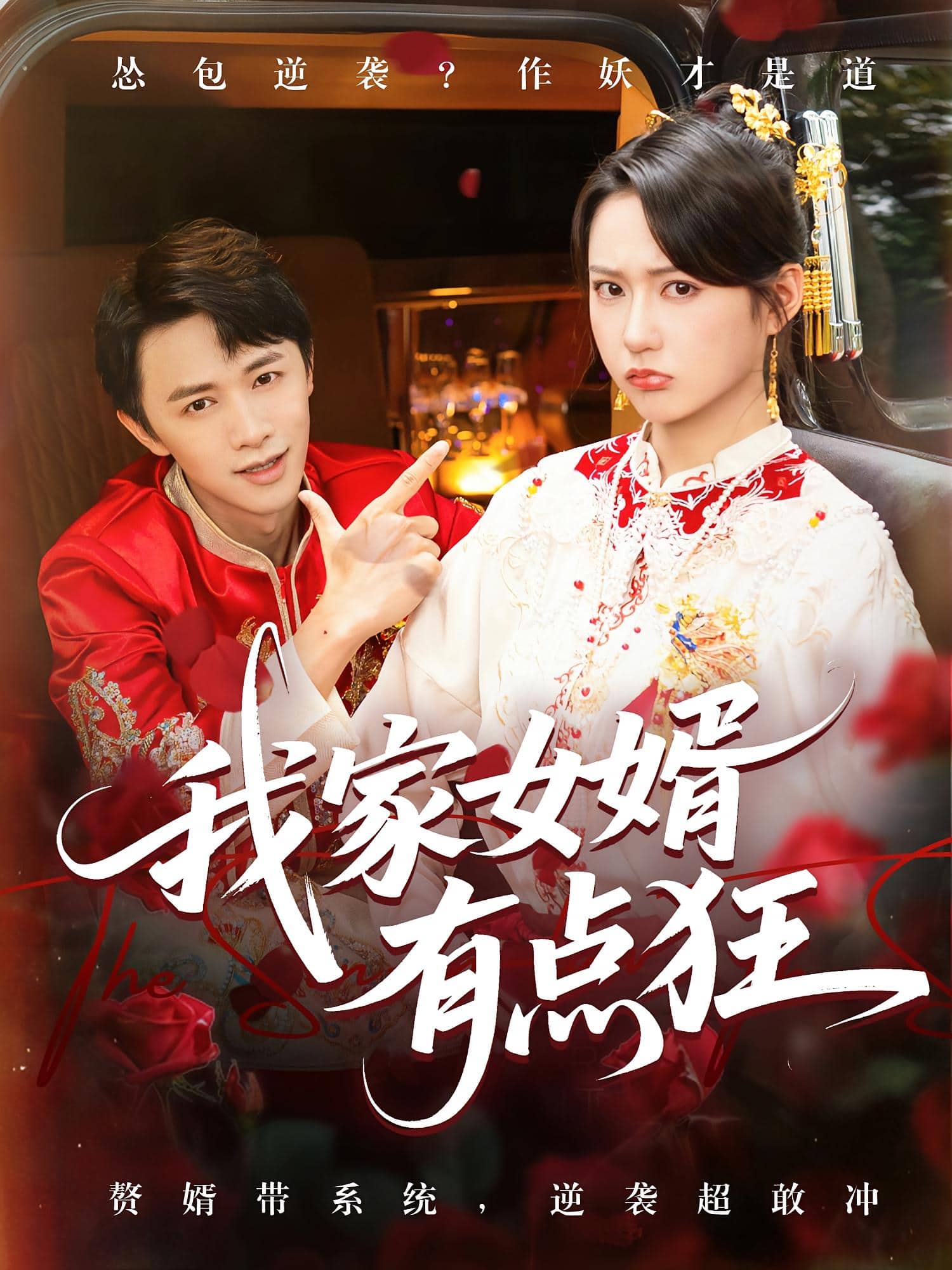 我家女婿有点狂封面图