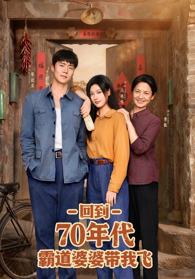 回到70年代霸道婆婆带我飞封面图
