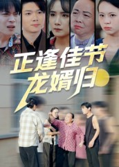 正逢佳节龙婿归封面图