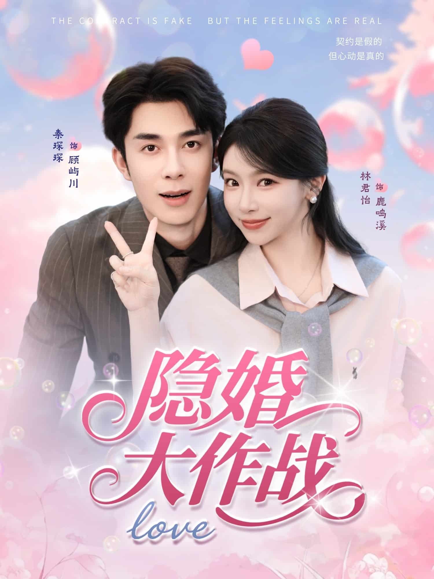 隐婚大作战封面图