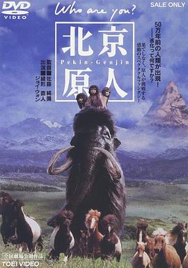 北京猿人封面图