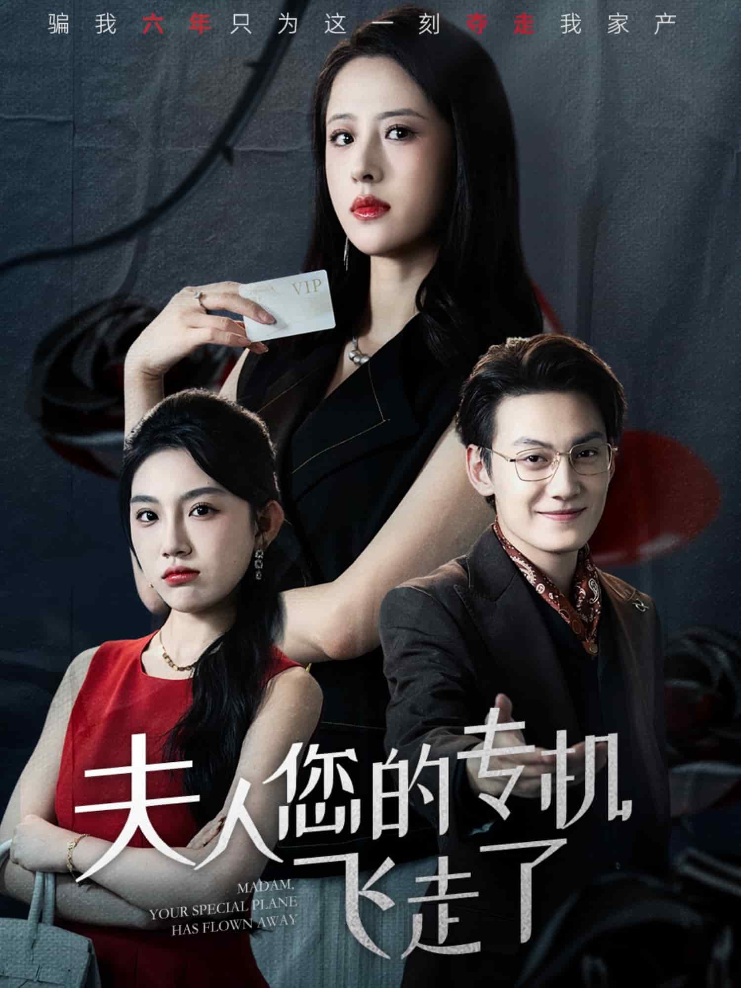 夫人您的专机飞走了封面图