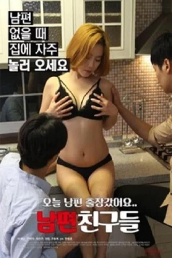 丈夫的朋友们封面图