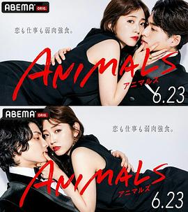 动物 ANIMALS封面图