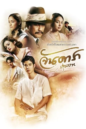 武娘2012封面图