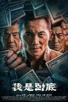 我是卧底2026封面图