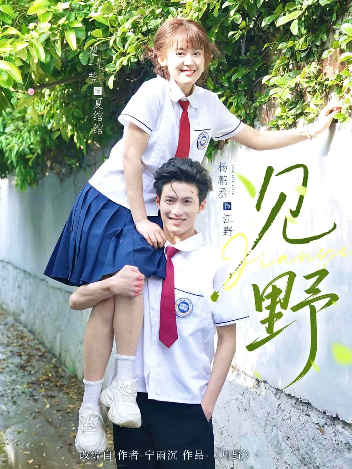 见野封面图