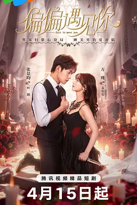 偏偏遇见你封面图