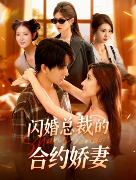 闪婚总裁契约妻封面图